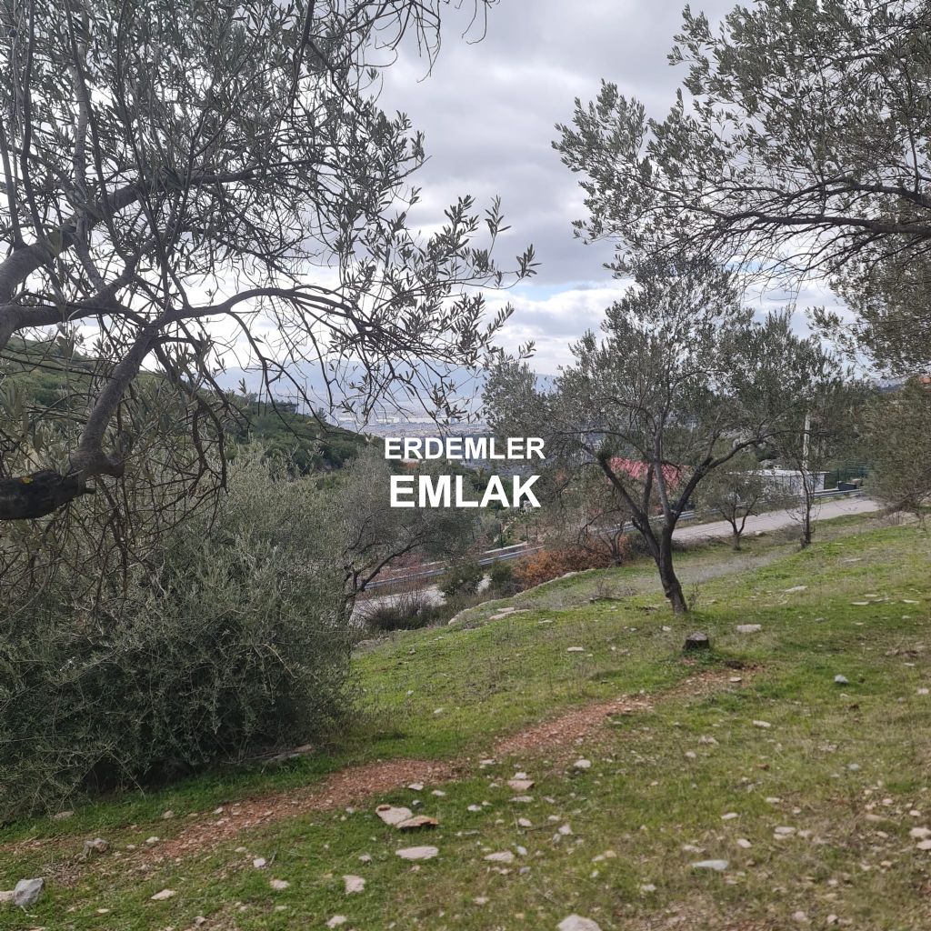 ERDEMLERDEN BORNOVA KAYADİBİNDE KÖŞE PARSEL KUPON TARLA