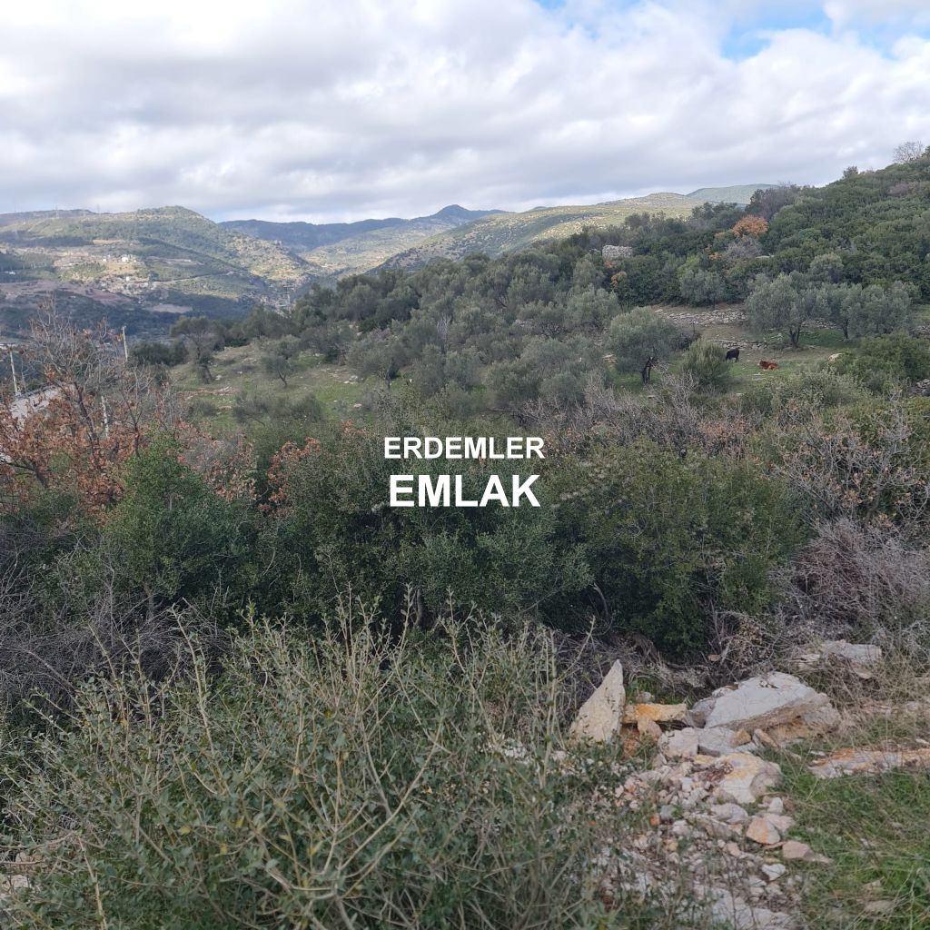 ERDEMLERDEN BORNOVA KAYADİBİNDE KÖŞE PARSEL KUPON TARLA