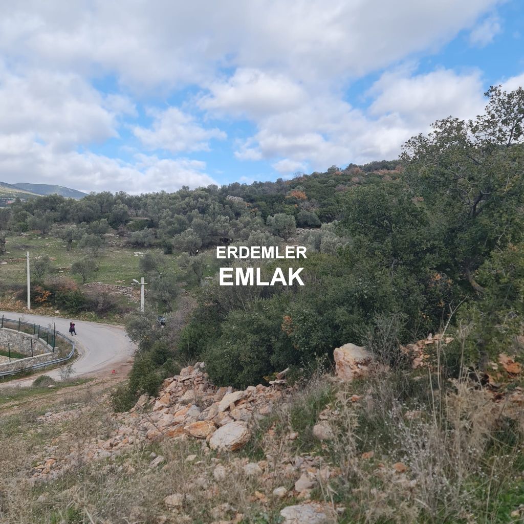 ERDEMLERDEN BORNOVA KAYADİBİNDE KÖŞE PARSEL KUPON TARLA