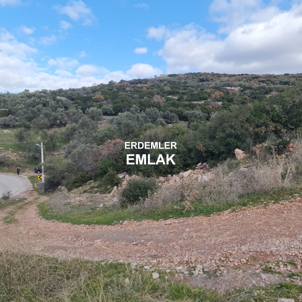 ERDEMLERDEN BORNOVA KAYADİBİNDE KÖŞE PARSEL KUPON TARLA