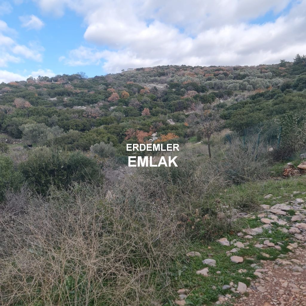 ERDEMLERDEN BORNOVA KAYADİBİNDE KÖŞE PARSEL KUPON TARLA