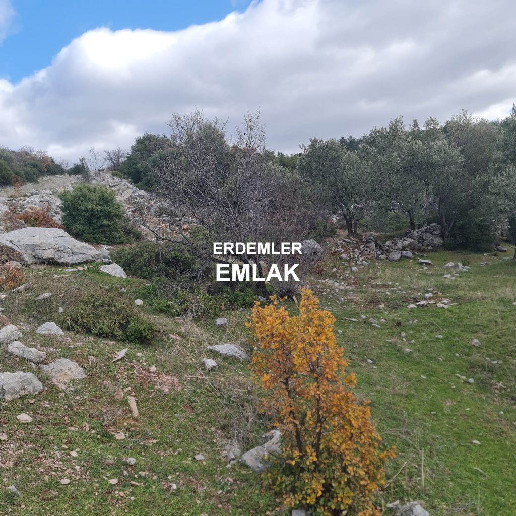 ERDEMLERDEN BORNOVA KAYADİBİNDE KÖŞE PARSEL KUPON TARLA