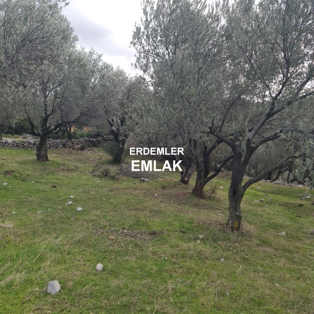 ERDEMLERDEN BORNOVA KAYADİBİNDE KÖŞE PARSEL KUPON TARLA