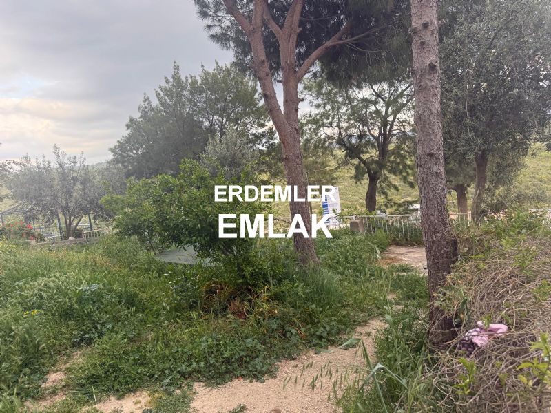 ERDEMLERDEN EVKA 3 MERKEZİNDE YÜKSEK GİRİŞ DAİRE