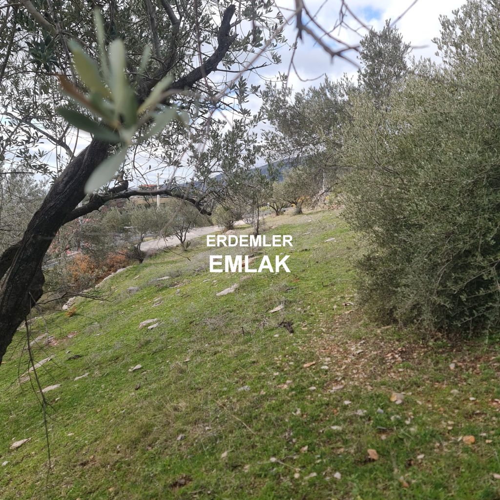 ERDEMLERDEN BORNOVA KAYADİBİNDE KÖŞE PARSEL KUPON TARLA