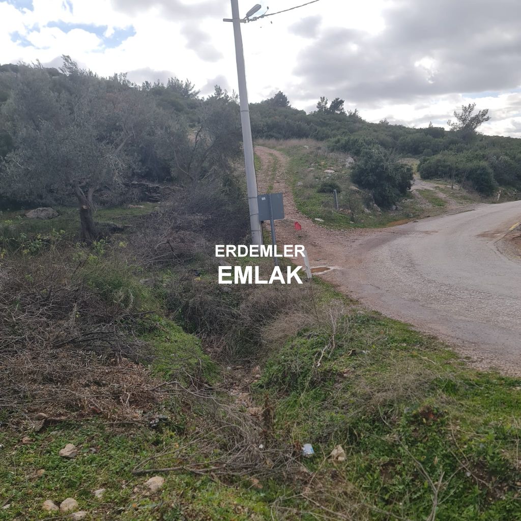 ERDEMLERDEN BORNOVA KAYADİBİNDE KÖŞE PARSEL KUPON TARLA