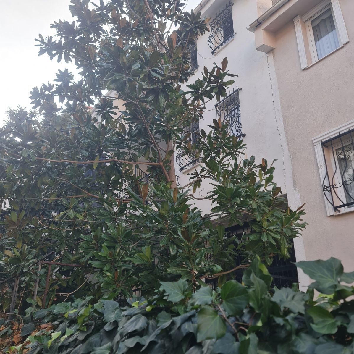 ERDEMLERDEN SARAYKENT 6 DA MUSTAKİL BAHÇELI 4 ODA 1 SALON DAİRE