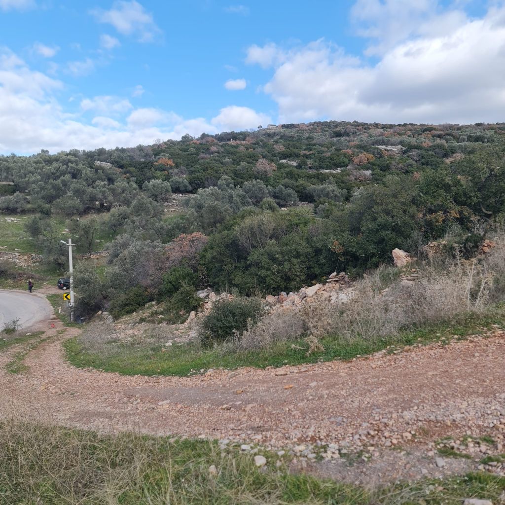 ERDEMLERDEN BORNOVA KAYADİBİNDE KÖŞE PARSEL KUPON TARLA