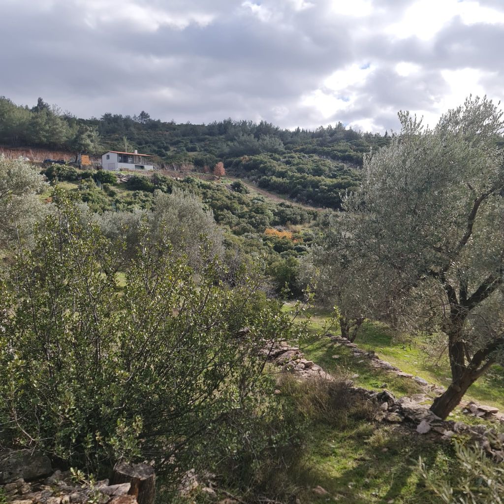 ERDEMLERDEN BORNOVA KAYADİBİNDE KÖŞE PARSEL KUPON TARLA