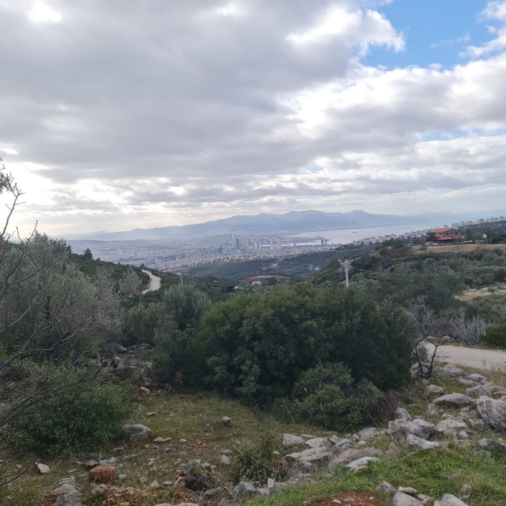 ERDEMLERDEN BORNOVA KAYADİBİNDE KÖŞE PARSEL KUPON TARLA
