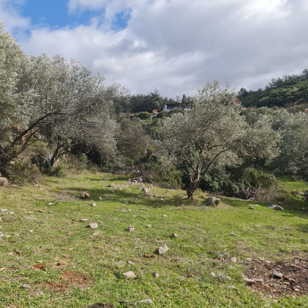 ERDEMLERDEN BORNOVA KAYADİBİNDE KÖŞE PARSEL KUPON TARLA