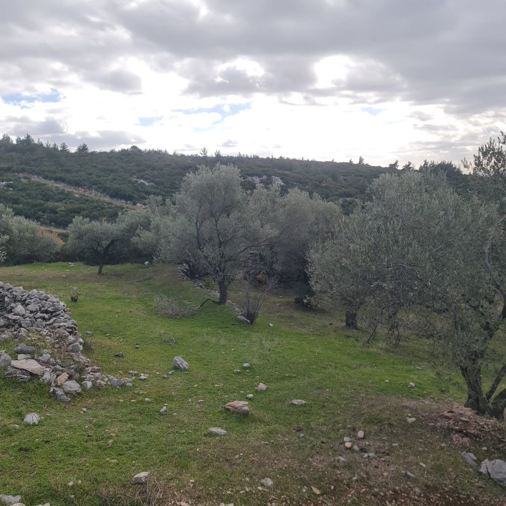 ERDEMLERDEN BORNOVA KAYADİBİNDE KÖŞE PARSEL KUPON TARLA