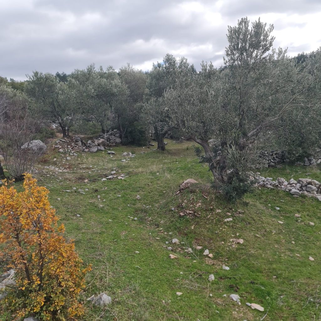 ERDEMLERDEN BORNOVA KAYADİBİNDE KÖŞE PARSEL KUPON TARLA