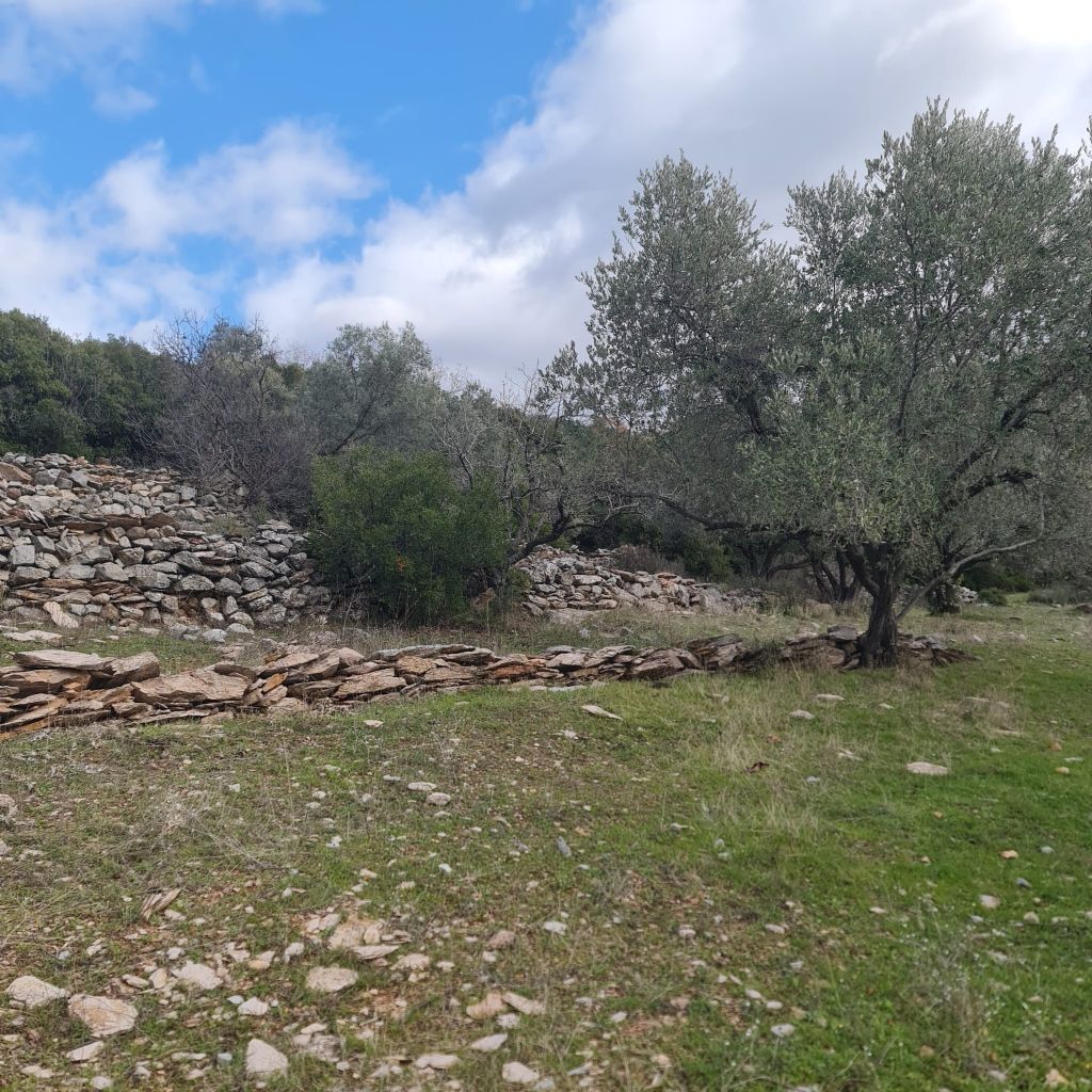ERDEMLERDEN BORNOVA KAYADİBİNDE KÖŞE PARSEL KUPON TARLA