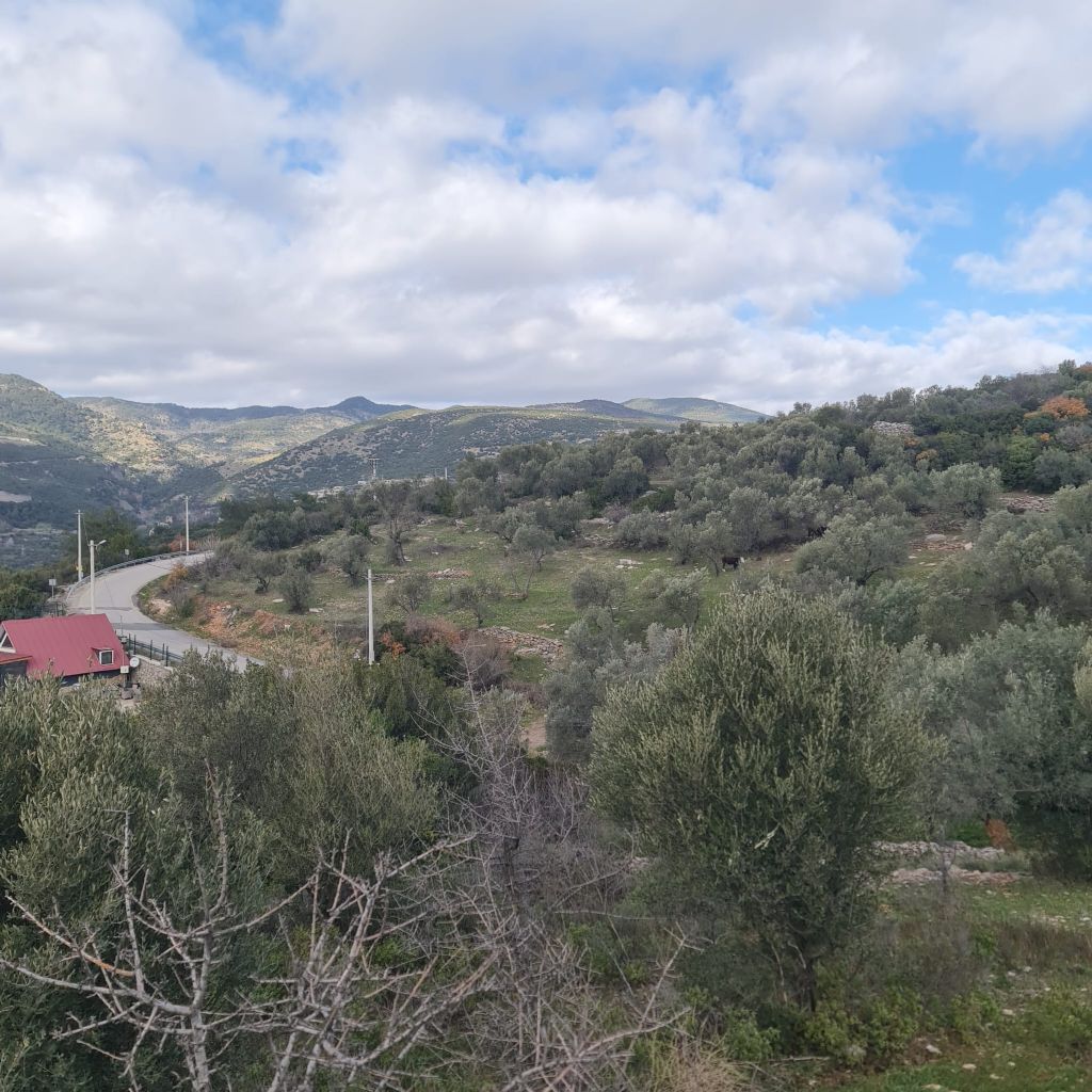 ERDEMLERDEN BORNOVA KAYADİBİNDE KÖŞE PARSEL KUPON TARLA
